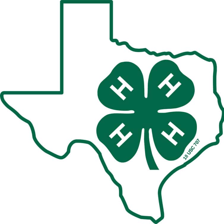 image: Texas 4-H Thumbnail