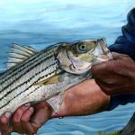 Picture- Fish Art Contest 2024, person holding a fish. thumbnail.